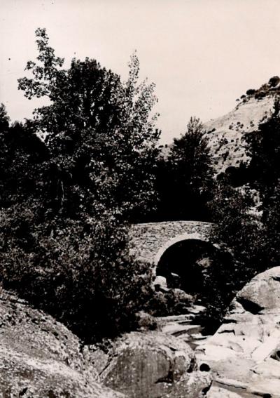 Foto de 